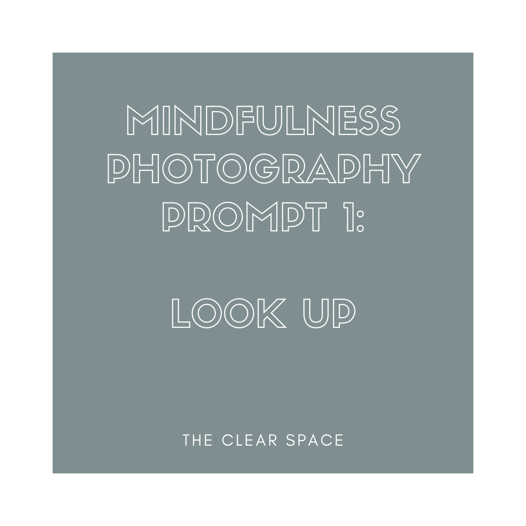 mindfulness photography prompt look up